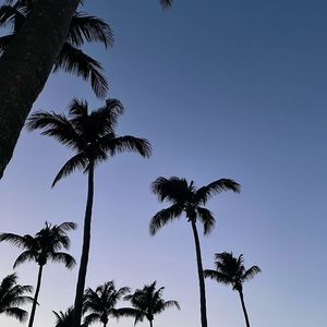 For Alexis and Alexis only